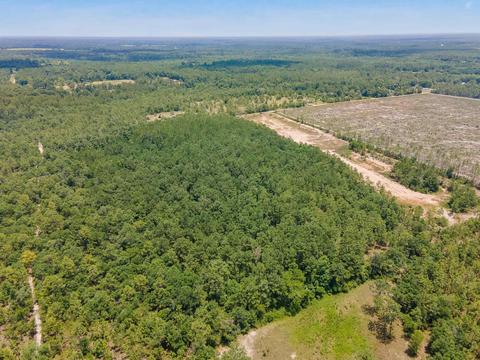 tbd Godwin Rd, Quincy, FL 32351 photo 9