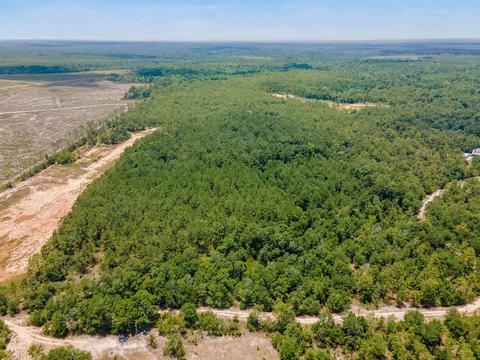 tbd Godwin Rd, Quincy, FL 32351 photo 3