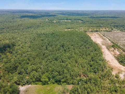 tbd Godwin Rd, Quincy, FL 32351 photo 7