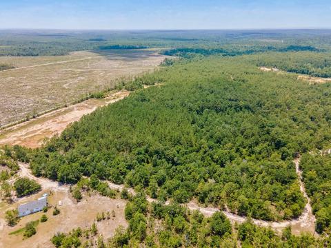 tbd Godwin Rd, Quincy, FL 32351 photo 1