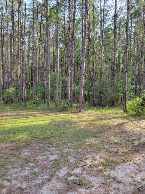 2461 Ocean Pond Dr, Perry, FL 32348 photo 2