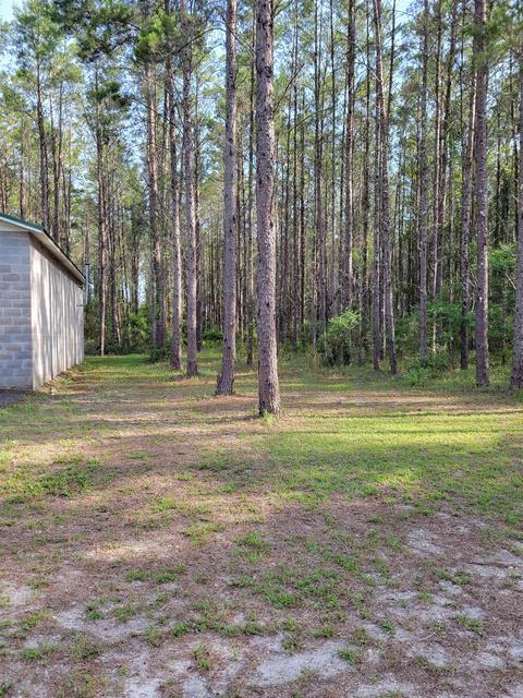 2461 Ocean Pond Dr, Perry, FL 32348 photo 3