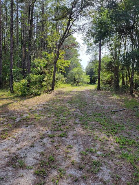 2461 Ocean Pond Dr, Perry, FL 32348 photo 1