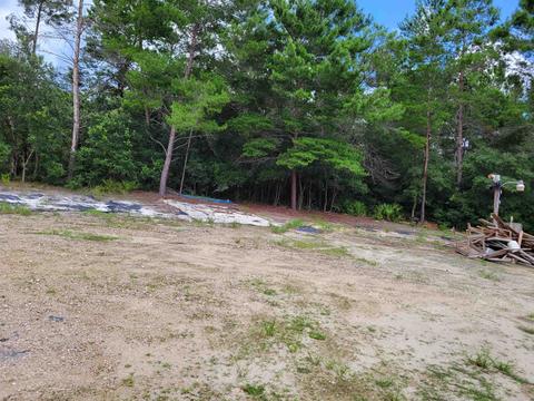 13500 Strickland Bridge Rd, Perry, FL 32348 photo 8