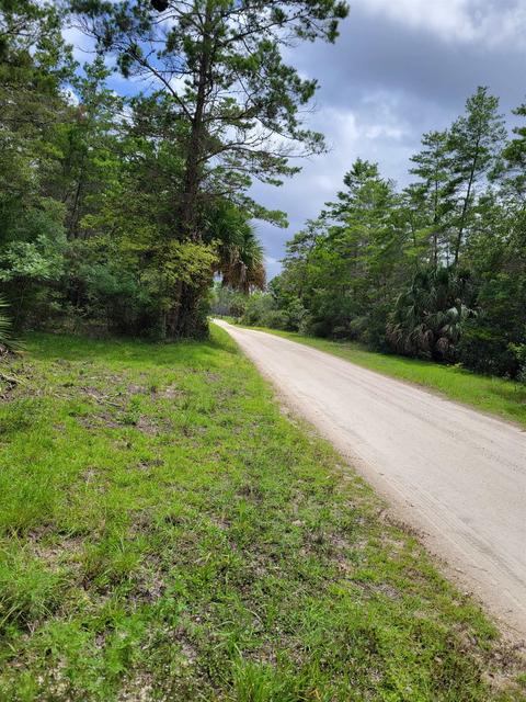 13500 Strickland Bridge Rd, Perry, FL 32348 photo 14