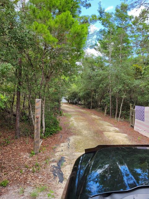 13500 Strickland Bridge Rd, Perry, FL 32348 photo 12