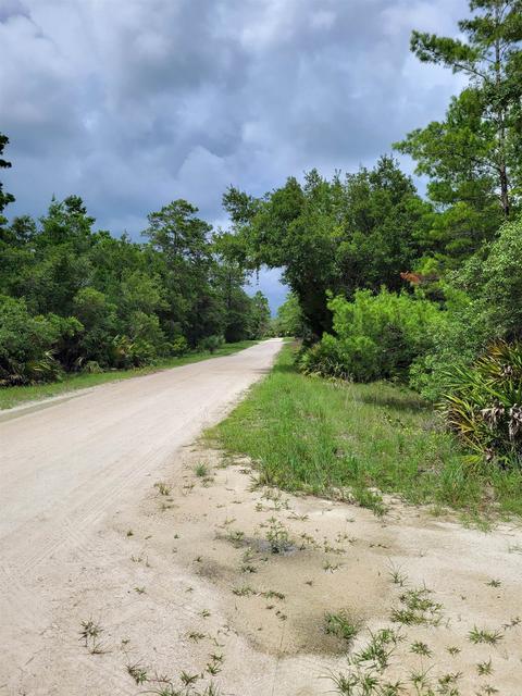 13500 Strickland Bridge Rd, Perry, FL 32348 photo 13