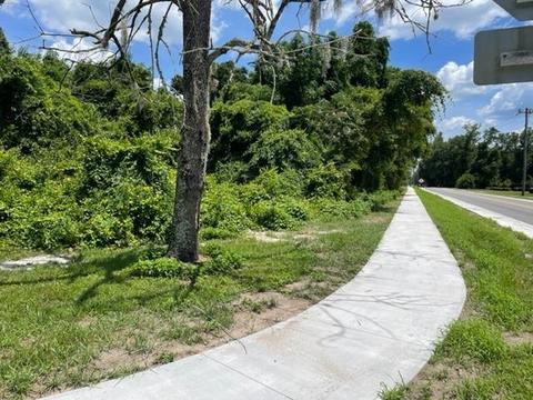 Nn Trice Lane, Crawfordville, FL 32327