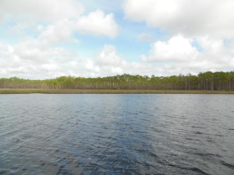 709 Mill Rd, Carrabelle, FL 32322 photo 30