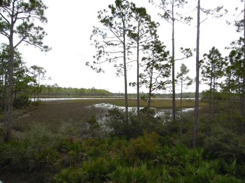 709 Mill Rd, Carrabelle, FL 32322 photo 31