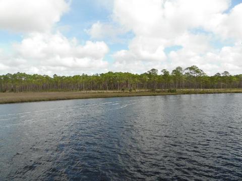 709 Mill Rd, Carrabelle, FL 32322 photo 32