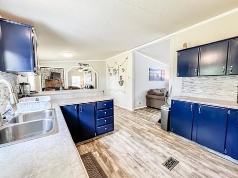 113 SE Twelfth St, Steinhatchee, FL 32359 photo 10