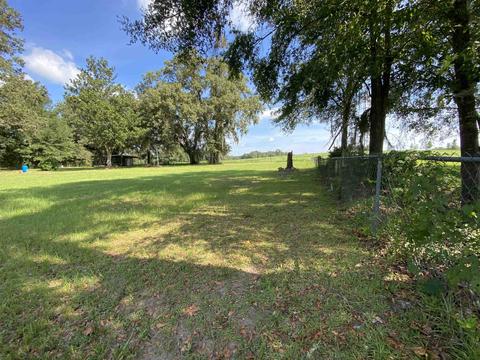 303 NE Alyssum Loop, Madison, FL 32340 photo 3