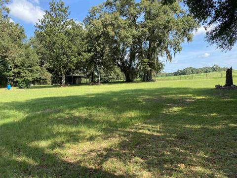 303 NE Alyssum Loop, Madison, FL 32340 photo 4