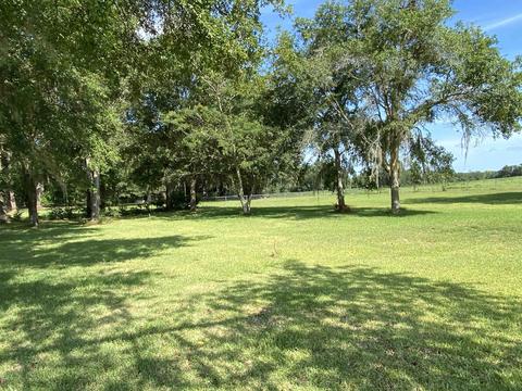 303 NE Alyssum Loop, Madison, FL 32340 photo 6