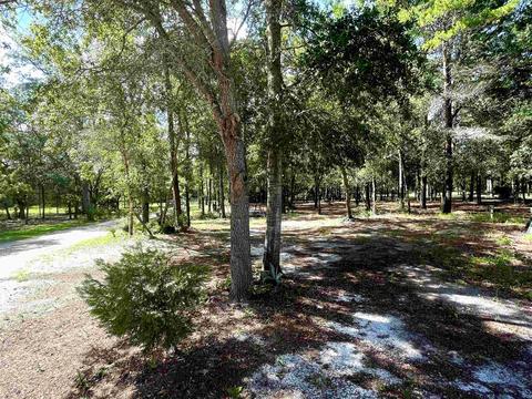 12790 Spring Warrior Rd, Perry, FL 32348 photo 10