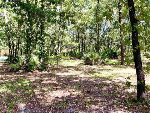 12790 Spring Warrior Rd, Perry, FL 32348 photo 9