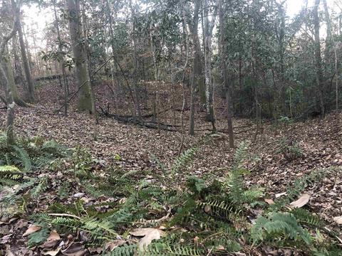 355 Upland Farm Rd, Quincy, FL 32351