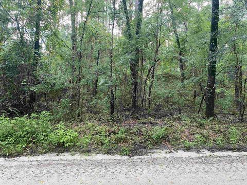 Nn Chicopee Road, Crawfordville, FL 32327