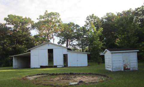 2184 W Reddick Dr, Perry, FL 32347 photo 29