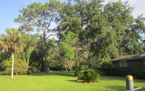 2184 W Reddick Dr, Perry, FL 32347 photo 4