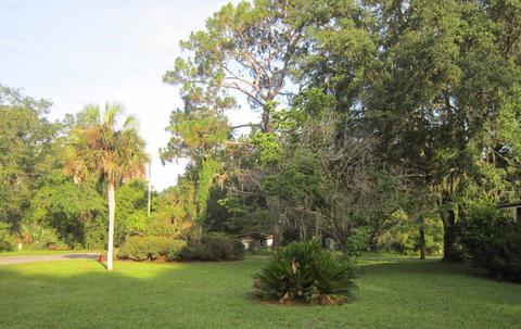2184 W Reddick Dr, Perry, FL 32347 photo 28