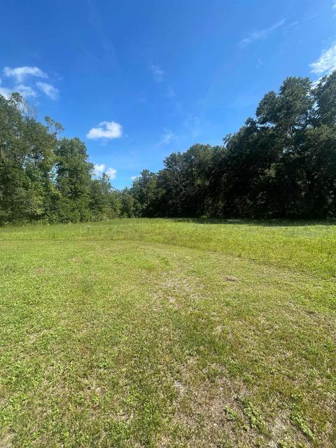 10755 Bill Howell Rd, Perry, FL 32348 photo 21