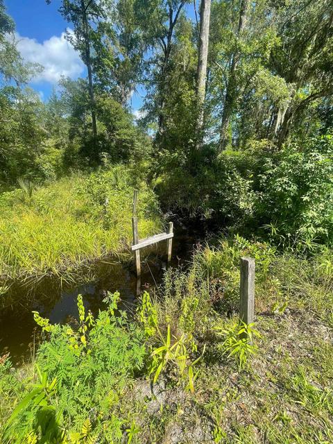 10755 Bill Howell Rd, Perry, FL 32348 photo 23