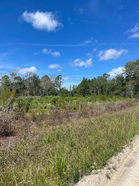 10755 Bill Howell Rd, Perry, FL 32348 photo 27
