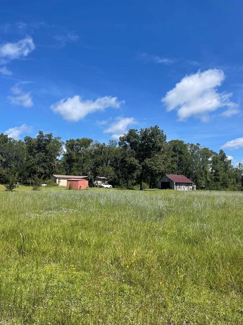 10755 Bill Howell Rd, Perry, FL 32348 photo 26