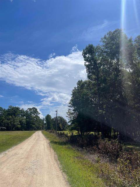 10755 Bill Howell Rd, Perry, FL 32348 photo 25