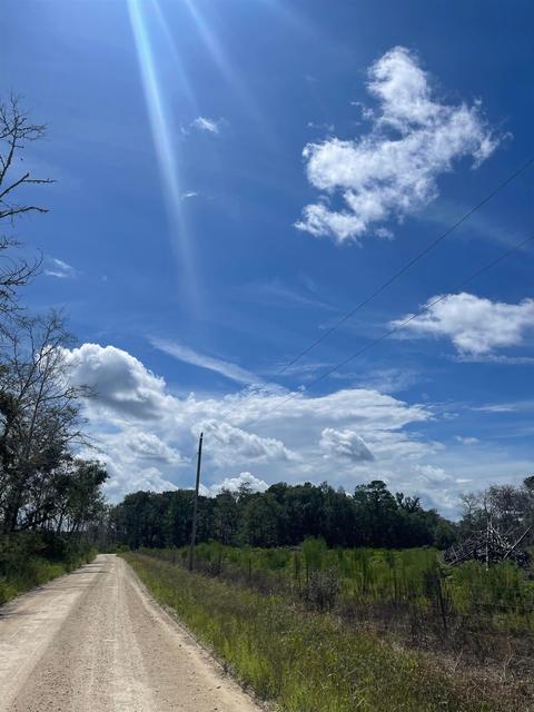 10755 Bill Howell Rd, Perry, FL 32348 photo 24