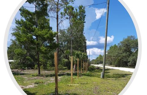 15259 E Royal Oak Dr, Perry, FL 32348 photo 17