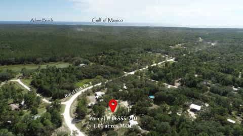 15259 E Royal Oak Dr, Perry, FL 32348 photo 6