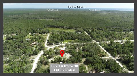 15259 E Royal Oak Dr, Perry, FL 32348 photo 7