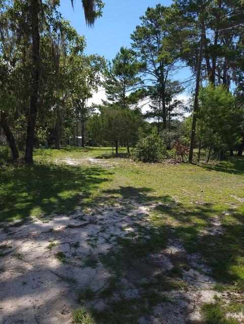 15259 E Royal Oak Dr, Perry, FL 32348 photo 16