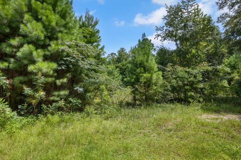 1080 Billy Dice Rd, Perry, FL 32348 photo 16