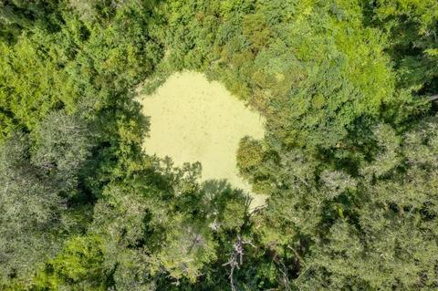 1080 Billy Dice Rd, Perry, FL 32348 photo 12