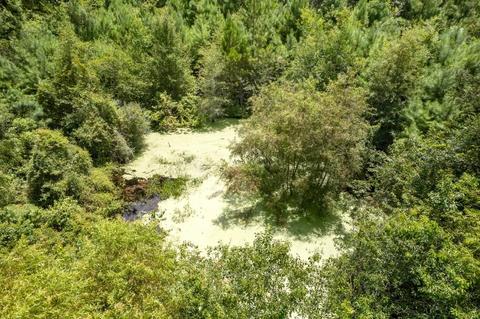 1080 Billy Dice Rd, Perry, FL 32348 photo 15