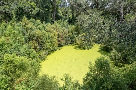 1080 Billy Dice Rd, Perry, FL 32348 photo 13