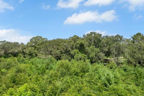 1080 Billy Dice Rd, Perry, FL 32348 photo 11