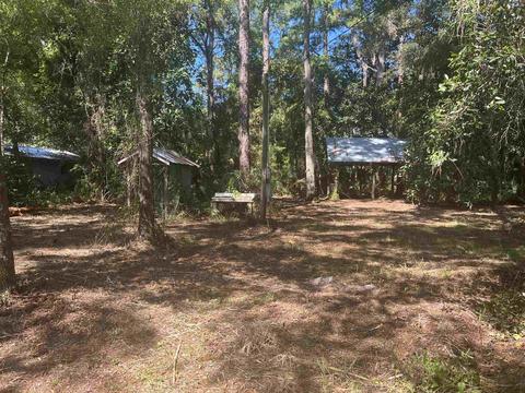 315 NW First St, Steinhatchee, FL 32359 photo 10