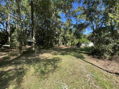 315 NW First St, Steinhatchee, FL 32359 photo 9