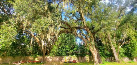126 Temple Ter, Perry, FL 32348 photo 8