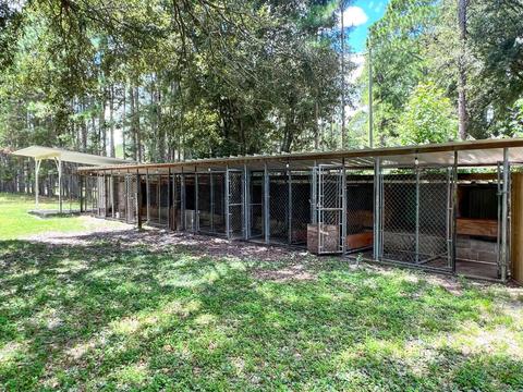 7123 E Jody Morgan Rd, Perry, FL 32348 photo 29