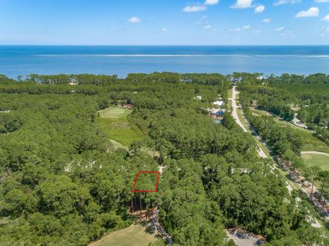 113 Kookaburra Ln, Carrabelle, FL 32323