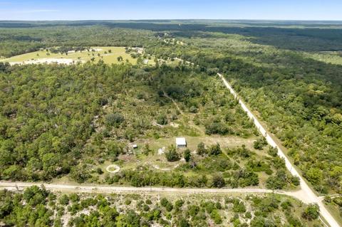 2029 Dennis Howell Rd, Perry, FL 32348 photo 4