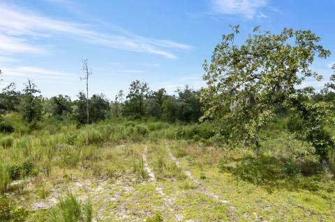 2029 Dennis Howell Rd, Perry, FL 32348 photo 8