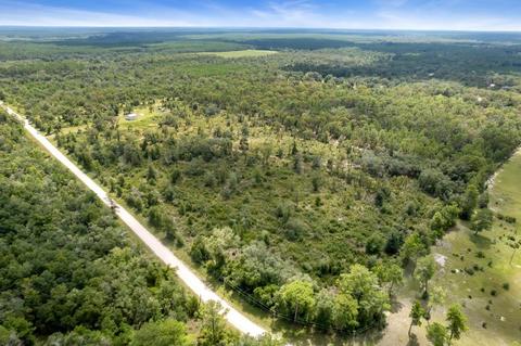 2029 Dennis Howell Rd, Perry, FL 32348 photo 6