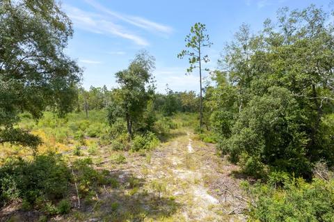 2029 Dennis Howell Rd, Perry, FL 32348 photo 12